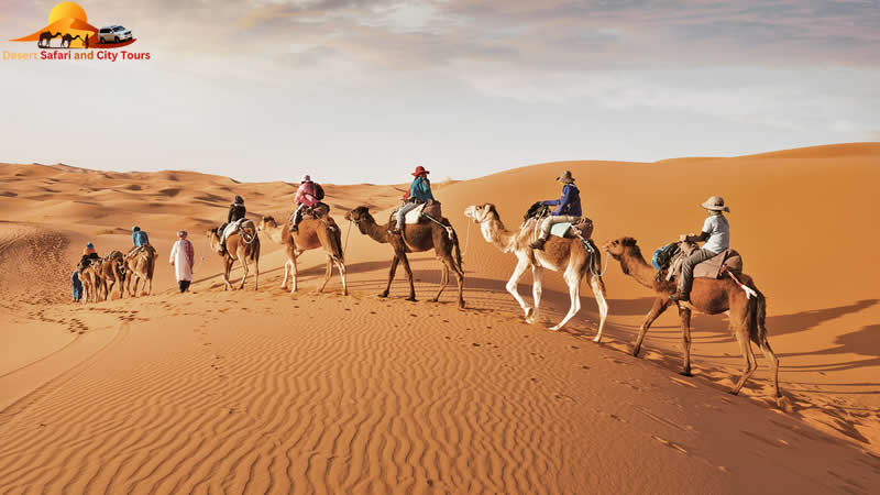 Desert Safari and City Tours | Abu Dhabi City tour | Morning Desert Safari | Evening Desert Safari | Desert Safari Dubai | VIP Desert Safari | Sunrise Safari
