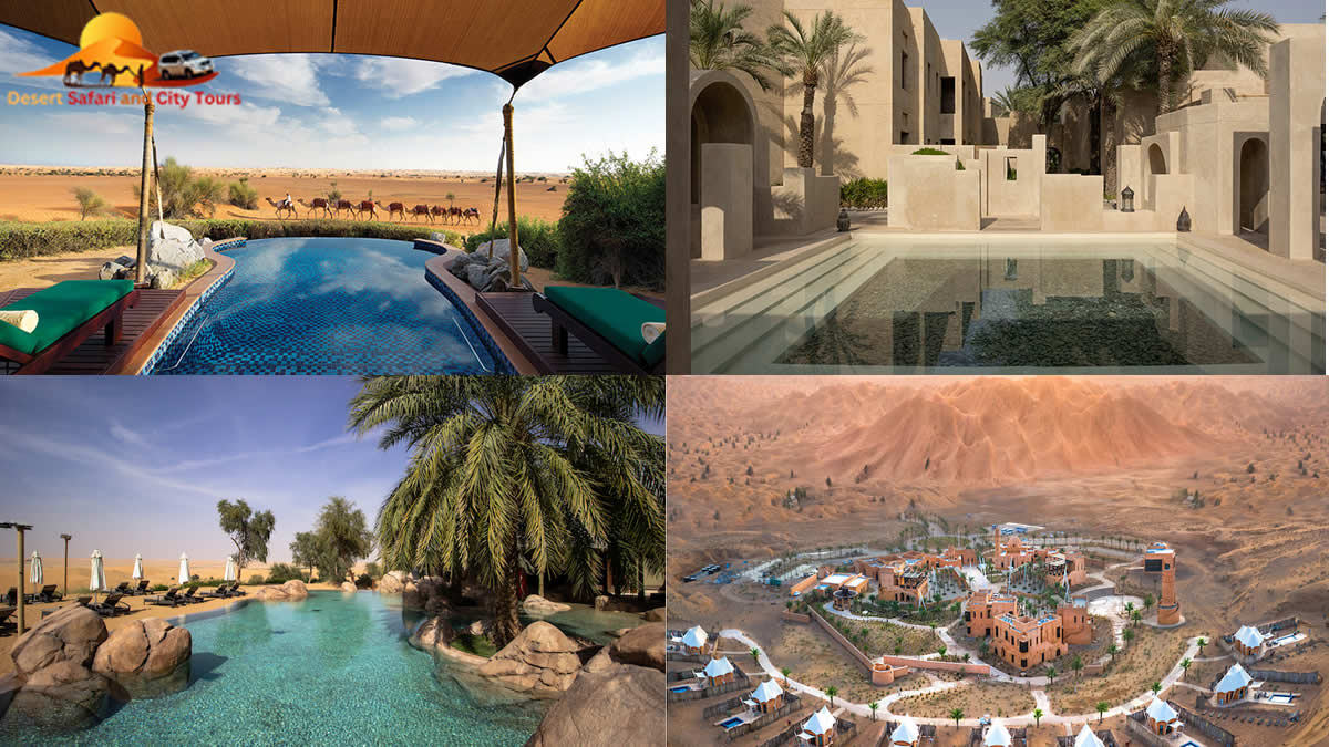 Desert Safari and City Tours | Dinner in desert | Abu Dhabi City tour | Morning Desert Safari | Evening Desert Safari | Desert Safari Dubai